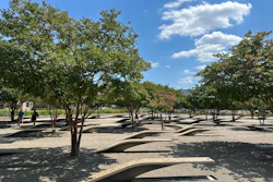 Sunny park with mature trees, curved paved pathways, and blue sky with white clouds