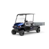 Blue and black Cushman utility golf cart with open cargo bed and canopy top