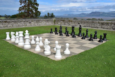 Outdoor giant chess game with white and black pieces on stone board in scenic lakeside garden setting