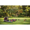 Red and black power tools and equipment laid out on grass with green trees in background