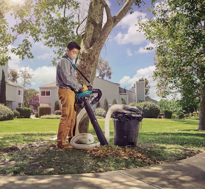 Young man using a leaf blower to clear yard debris under a large tree in a residential neighborhood